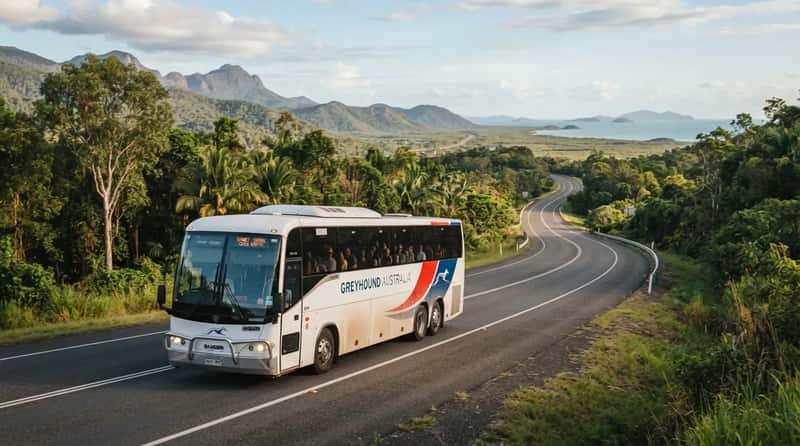#4 - Sydney to Cairns: Nearly 47 Hours on the Road (Image Credits: Gemini)