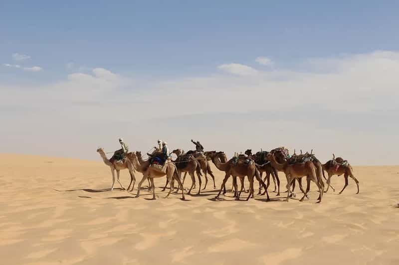 Chad, Iran, and Guinea Round Out the Bottom Five (Image Credits: Pixabay)