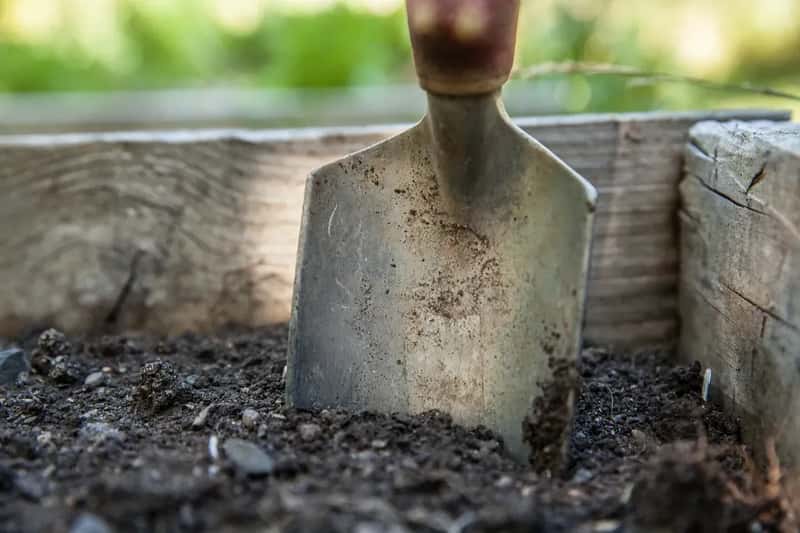 #11 - Tilling Every Spring Is Making Your Weed Problem Worse (Image Credits: Pixabay)