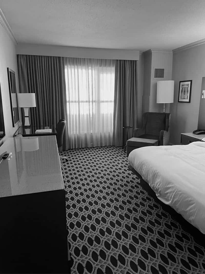 8. Carpets and Upholstered Furniture (Image Credits: Unsplash)
