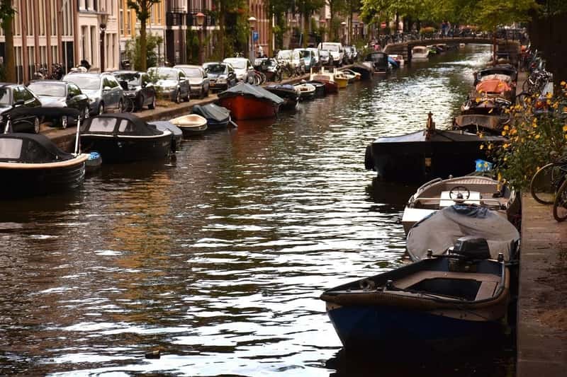 Netherlands: Work-Life Balance Champion (Image Credits: Rawpixel)
