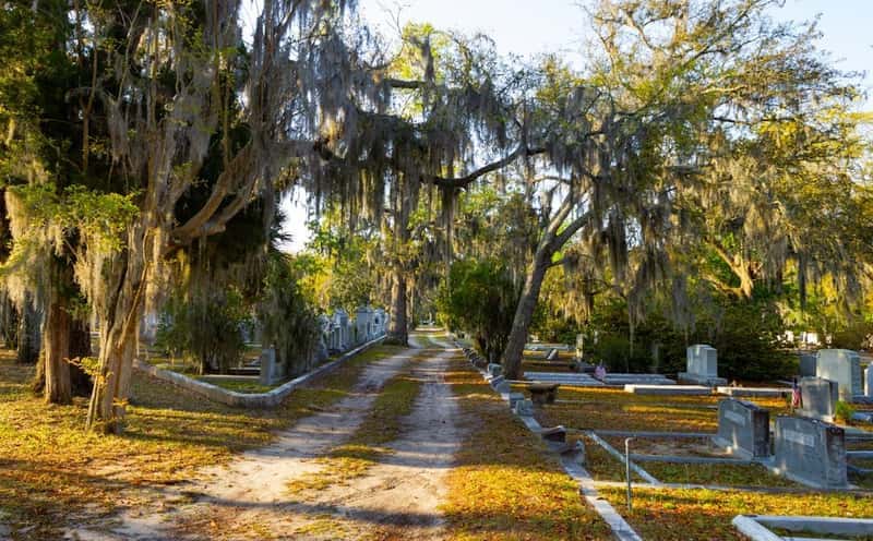 The Ghost Tours: Savannah's Supernatural Reputation (Image Credits: Unsplash)