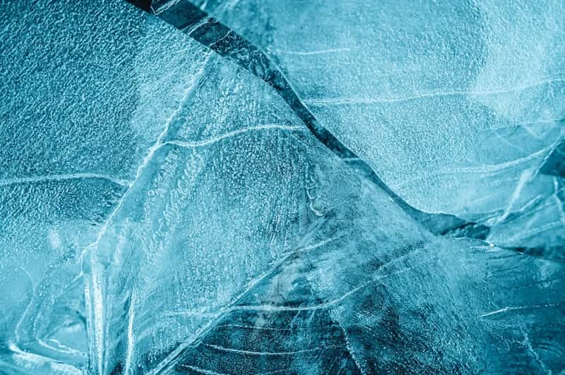 4. The body freezes before it fights or flees (Image Credits: Unsplash)