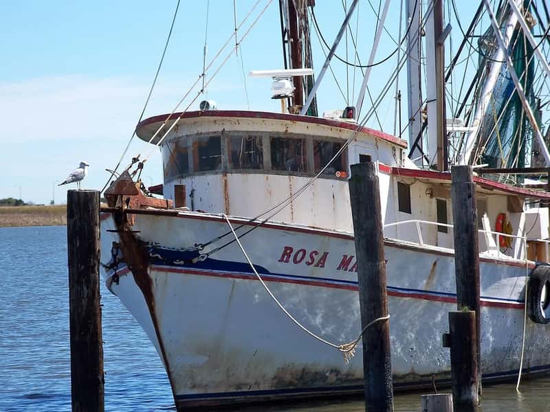 Apalachicola, where oyster boats meet 19th-century charm (Image Credits: Pixabay)