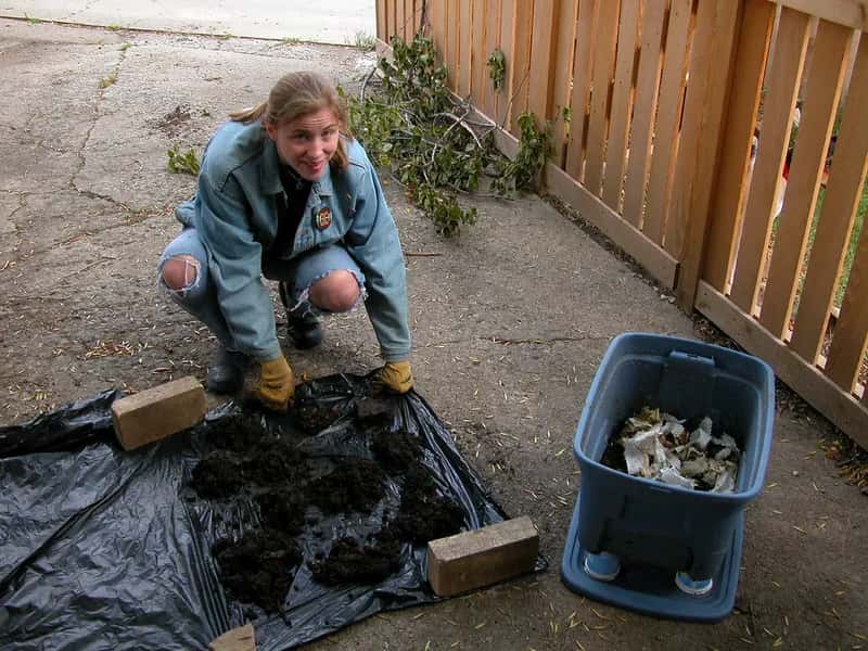 #5 - Worm Castings Do Something No Fertilizer Bottle Can Replicate (Linda N., Flickr, CC BY 2.0)