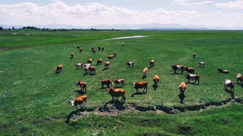 Mongolia: A Nation Built on Herding (Image Credits: Unsplash)
