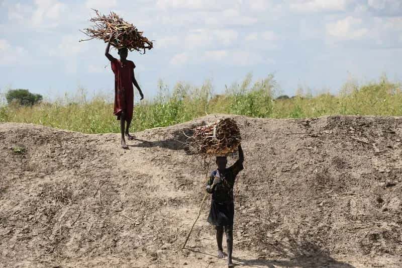 South Sudan: Conflict's Devastating Impact (Image Credits: Flickr)