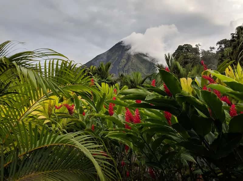 The Parks Nobody Bothers to Visit (Image Credits: Pexels)