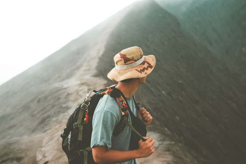 What This Says About Modern Society (Image Credits: Unsplash)
