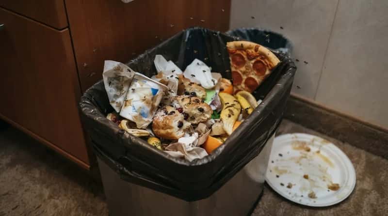 #19 - Sneaking Forbidden Buffet Food Back to Rot in the Cabin (Image Credits: Gemini)