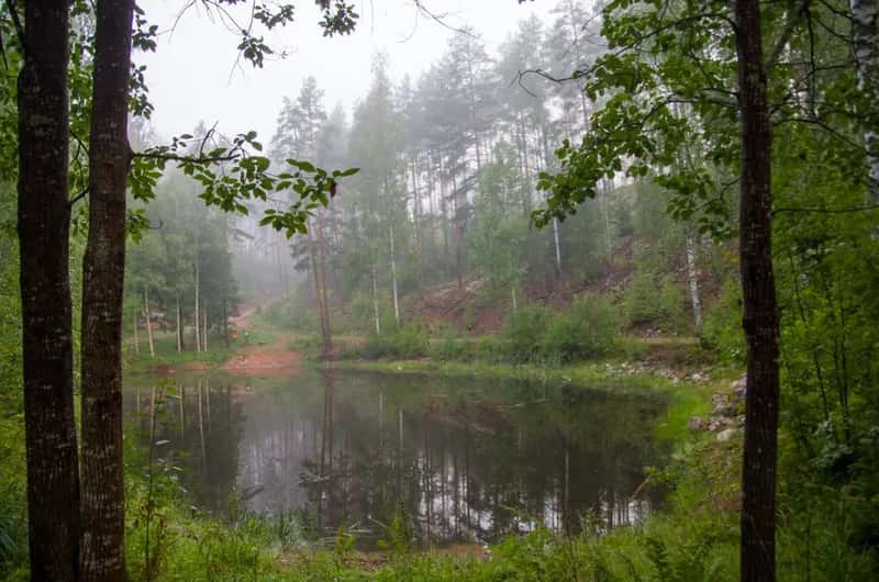 Finland: forest-filtered groundwater from thousands of lakes (Image Credits: Pexels)