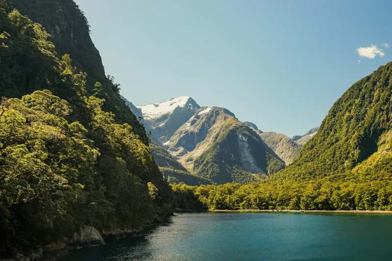 15. New Zealand: Landscapes That Look Staged (Image Credits: Unsplash)