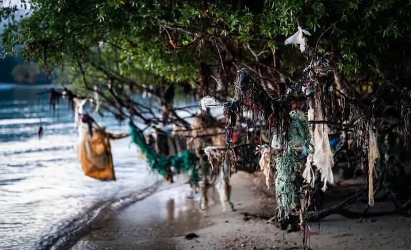 5. Environmental Destruction Is Heartbreaking (Image Credits: Unsplash)
