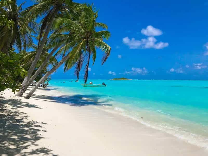 Beaches, Coasts and the Tropics (Image Credits: Unsplash)