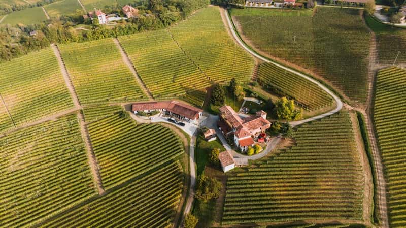 Wine Tourism Like Never Before (image credits: pexels)