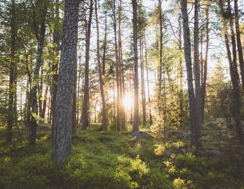 Sweden: steady, if no longer the outright leader (Image Credits: Unsplash)