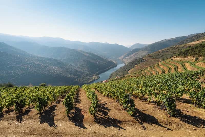 Douro Valley, Portugal (Image Credits: Unsplash)