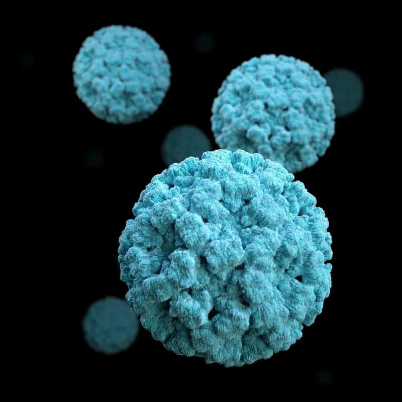 4. The Norovirus Crisis: The Real Reason Experts Are Raising the Alarm (Image Credits: Unsplash)