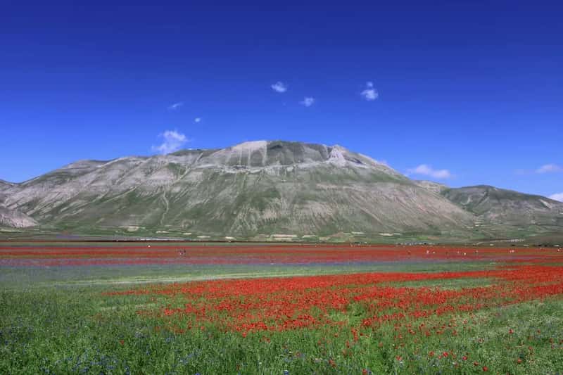 Castelluccio di Norcia, Umbria (Image Credits: Pexels)