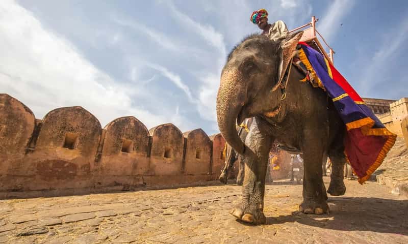 6. India: 45 Sites (Image Credits: Unsplash)