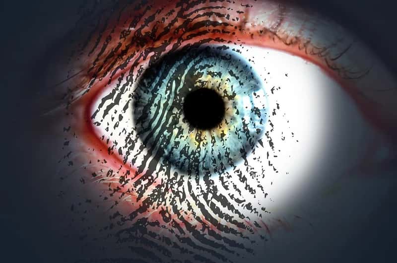 The New Biometric Border Check (Image Credits: Pixabay)