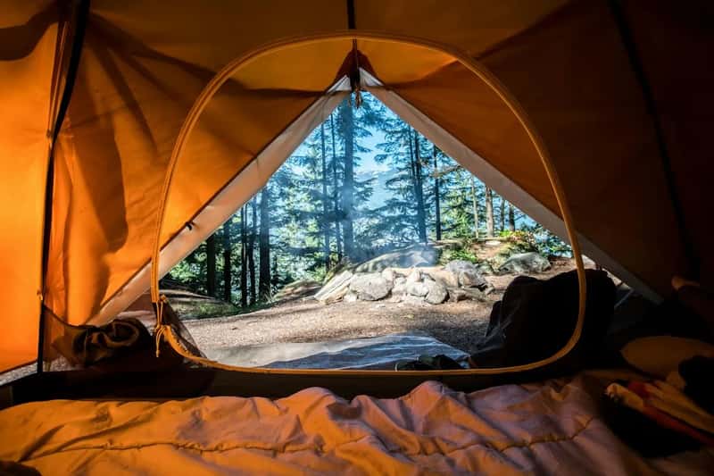 4. Half Off Camping and Other Amenity Fees (Image Credits: Unsplash)
