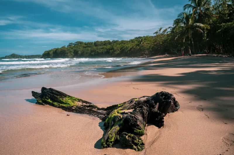 Costa Rica (Image Credits: Pexels)