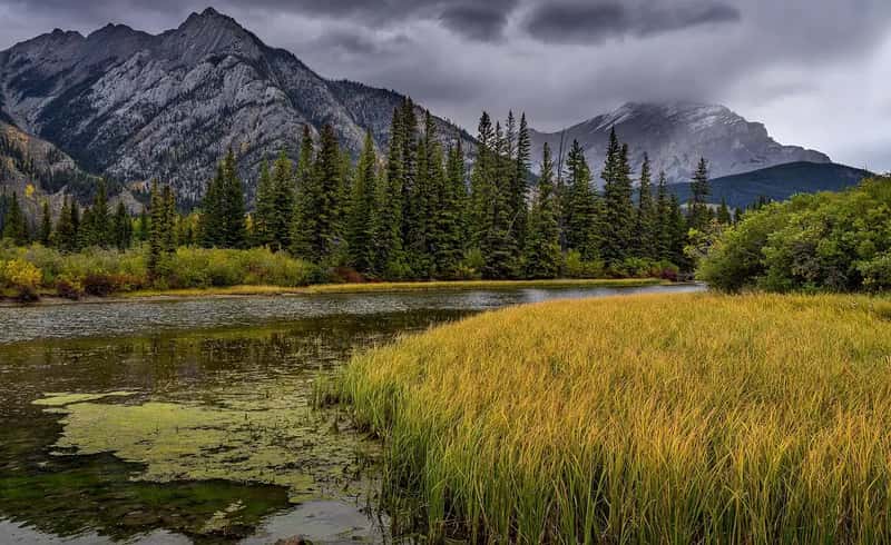 6. Rocky Mountain National Park (Image Credits: Pixabay)