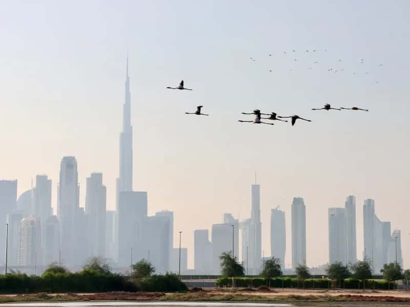Dubai's Skyline Under Siege: The Strikes That Broke the Illusion (Image Credits: Unsplash)