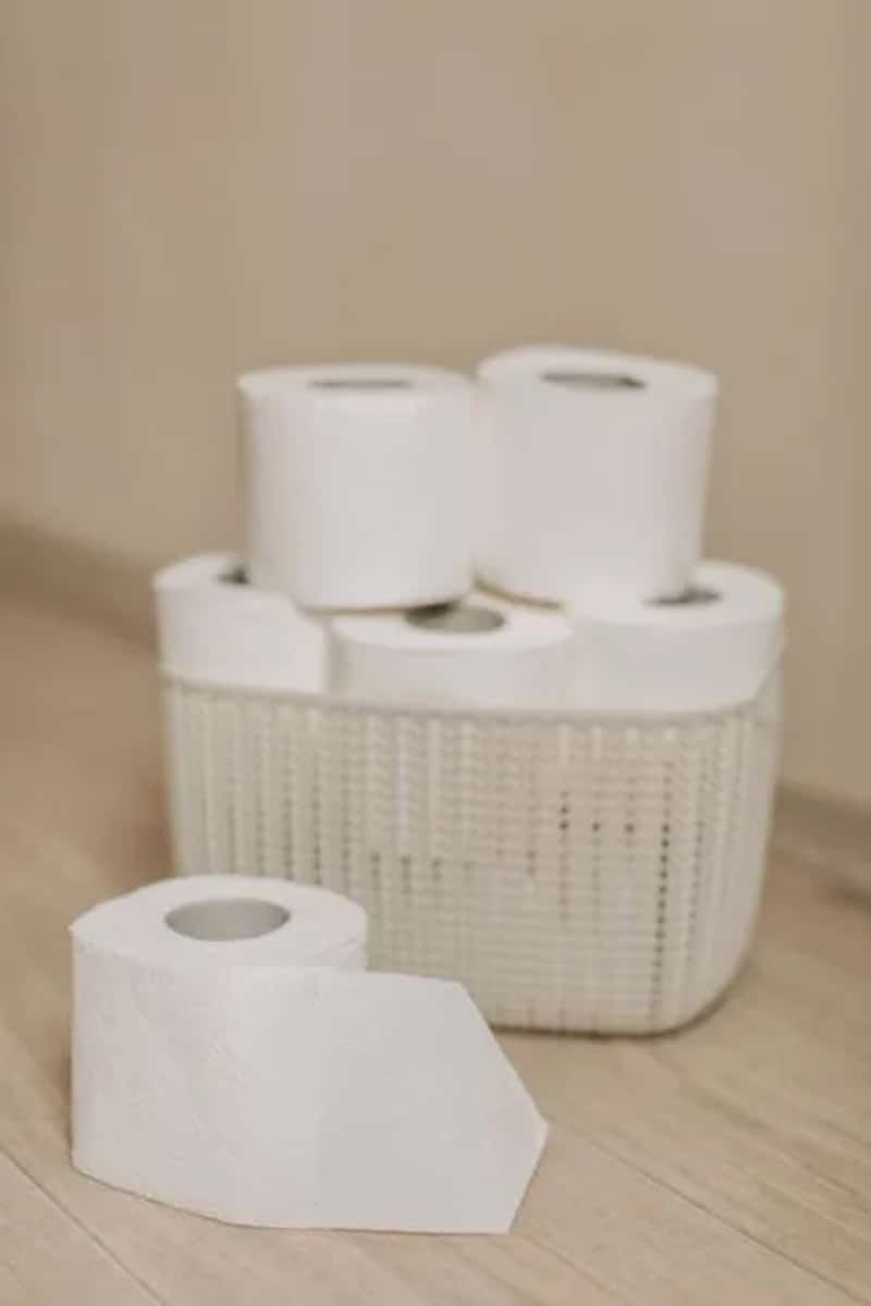Flush the Toilet and Use the Trash Can (Image Credits: Pexels)