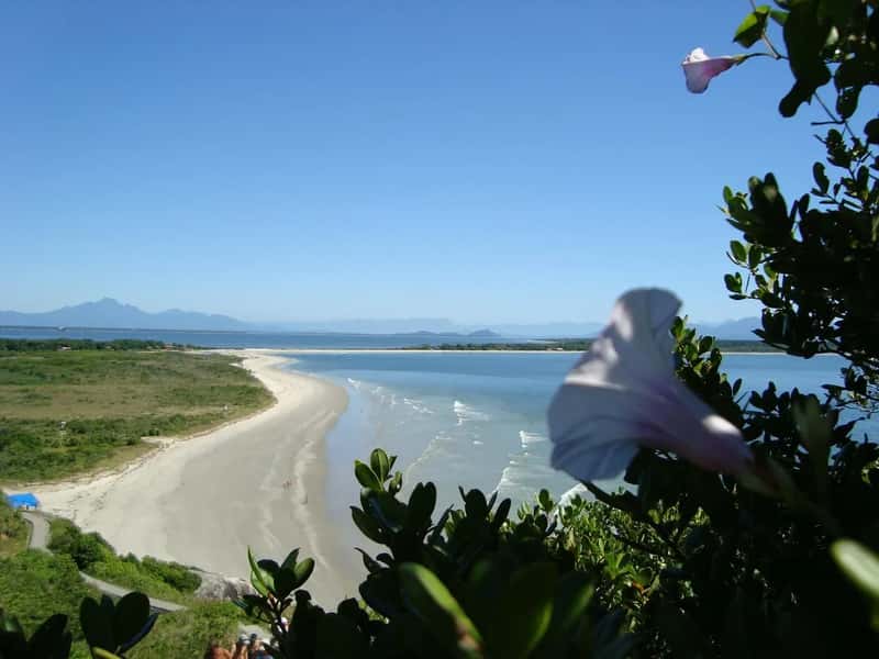 Ilha do Cardoso, São Paulo (Image Credits: Pixabay)