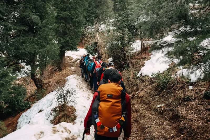 What Real Risk Looks Like on the Trail (Image Credits: Pexels)