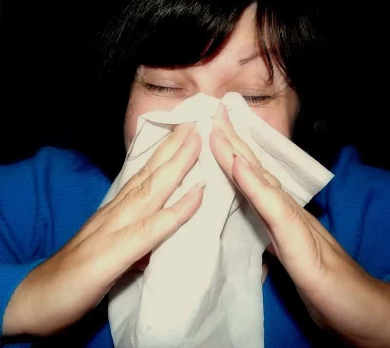 Blowing Your Nose in Public (Image Credits: Wikimedia)
