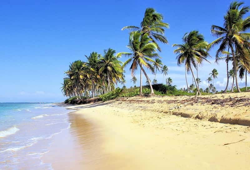Dominican Republic: Caribbean Paradise Under $800 (Image Credits: Pixabay)