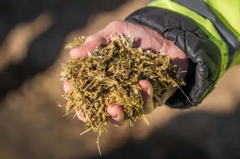 #6 - Match Your Mulch Type to What You're Actually Growing (Image Credits: Pexels)