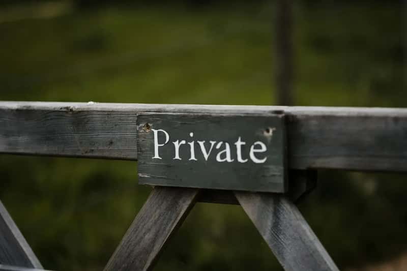 A Forest Owned Mostly by Private Hands (Image Credits: Unsplash)