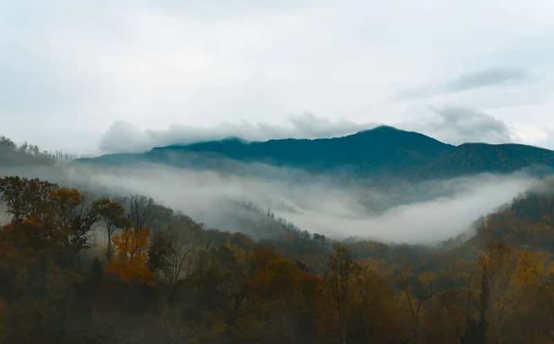 9. Great Smoky Mountains National Park (Image Credits: Pexels)