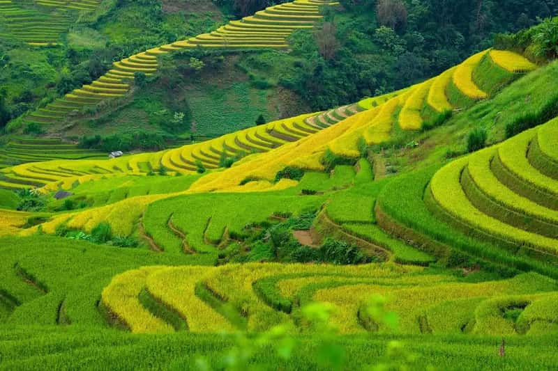 Strategic Timing and Regional Variations (Image Credits: Pixabay)