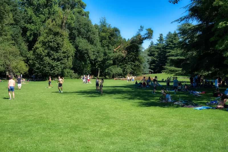 #19 - Spending the Whole Day at the Free City Parks Program (Image Credits: Unsplash)