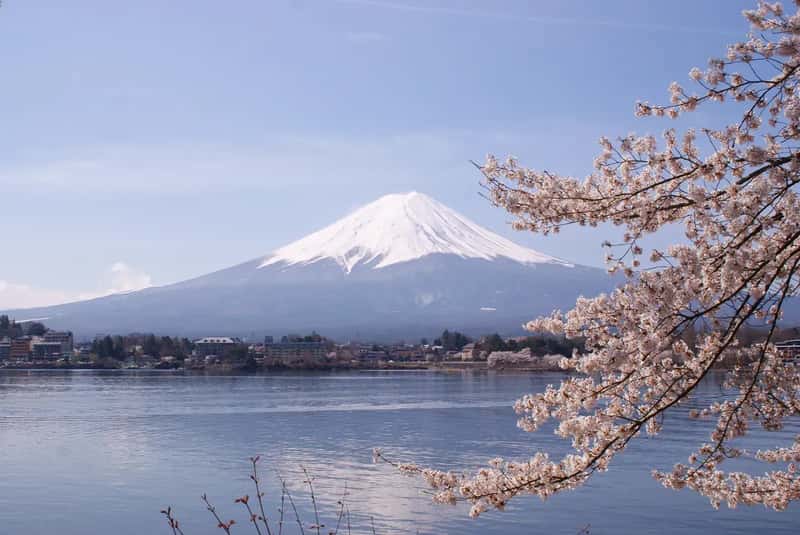 Japan: The Karaage Kingdom (Image Credits: Wikimedia)