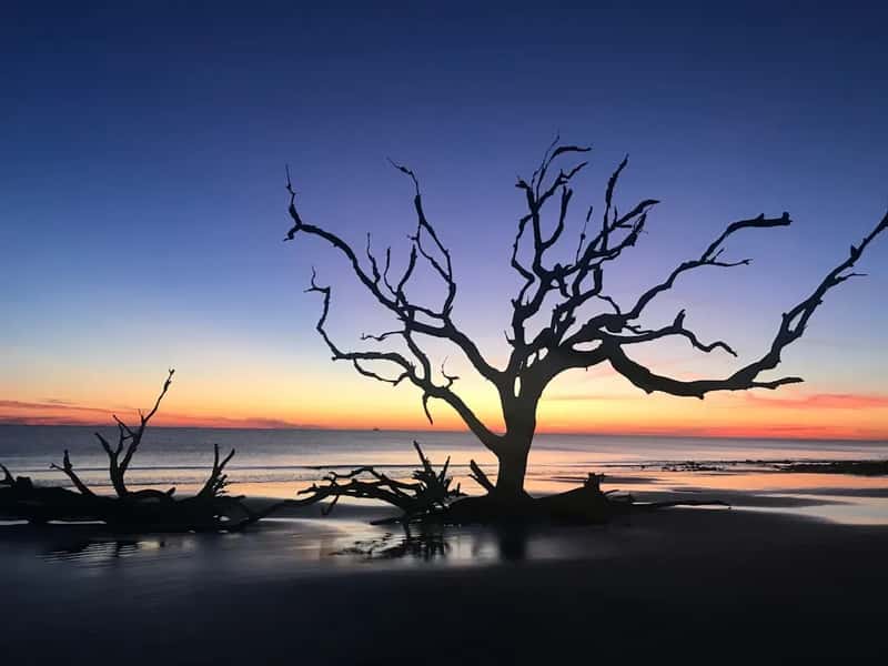 8. Jekyll Island, Georgia - A Gilded Age Secret Still Worth Visiting (Image Credits: Unsplash)