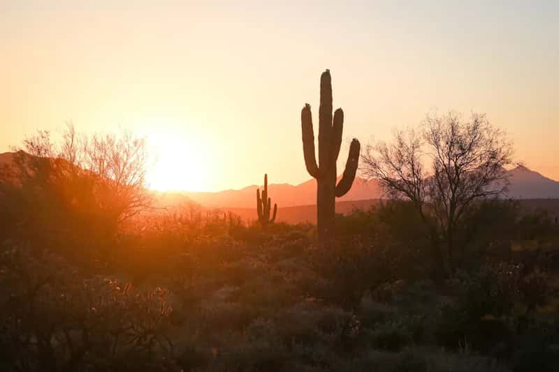 10. Phoenix/Scottsdale: Desert Heat Hazards (Image Credits: Unsplash)