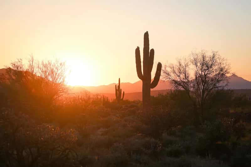 Phoenix, Arizona: Running Dry in the Desert (Image Credits: Unsplash)
