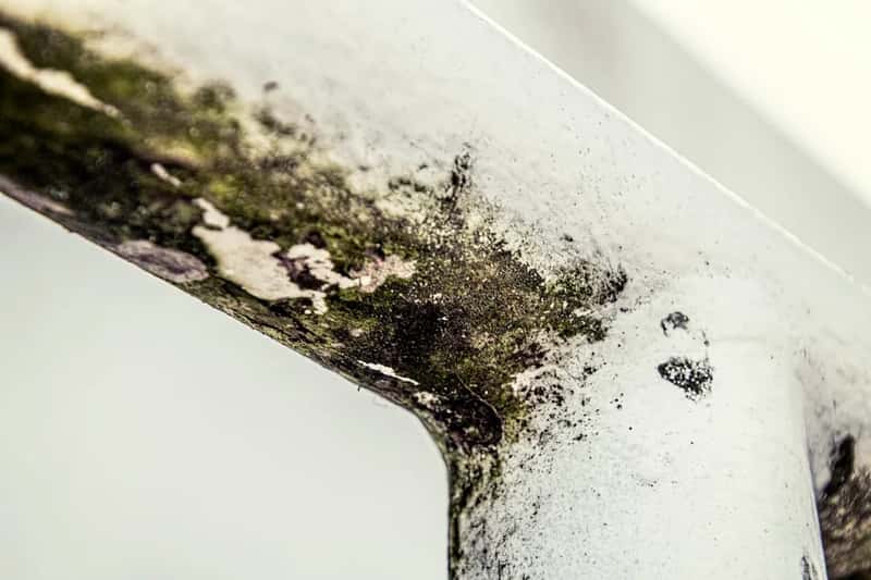 6. Stains and mildew hiding in the bathroom (Image Credits: Unsplash)