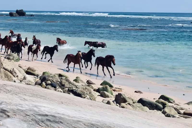 7. Sumba, Indonesia – Beyond Bali's Shadow (Image Credits: Unsplash)
