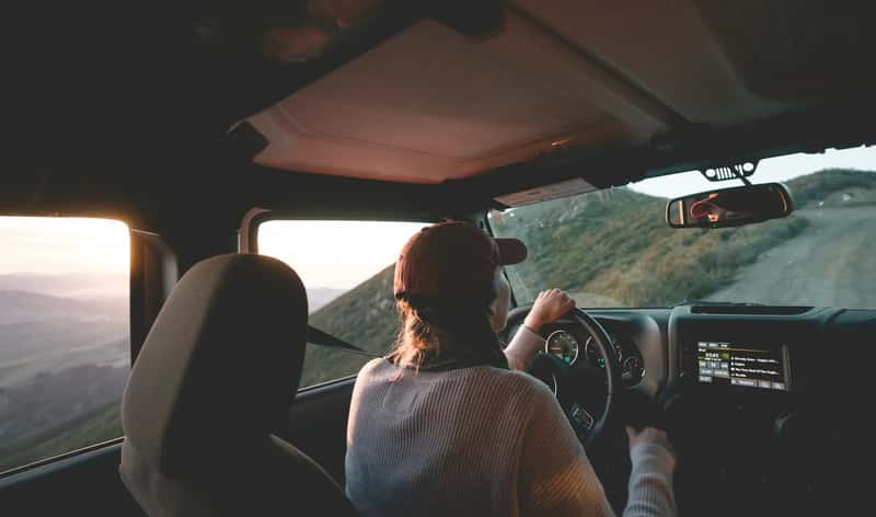 The Passenger Wound (Image Credits: Unsplash)
