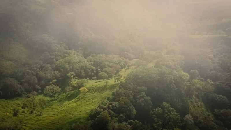 Costa Rica as the Perfect Backdrop for Silence (Image Credits: Unsplash)