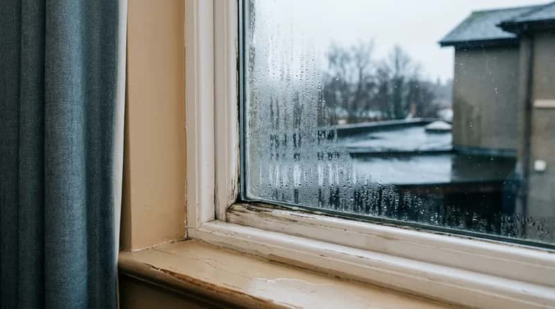 #18 - A Window That Sweats or Feels Drafty (Image Credits: Gemini)