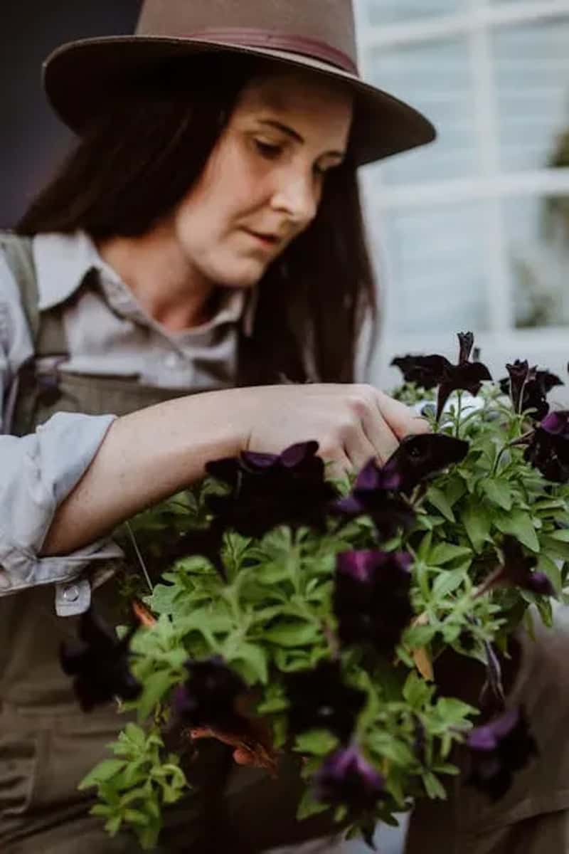 #15 - They Stop Deadheading Every Single Flower in the Garden (Image Credits: Pexels)