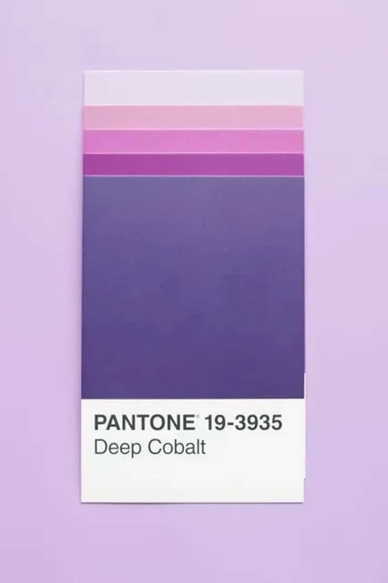 #13 - Pastel Colors Were Everywhere, Especially Mauve (Image Credits: Pexels)